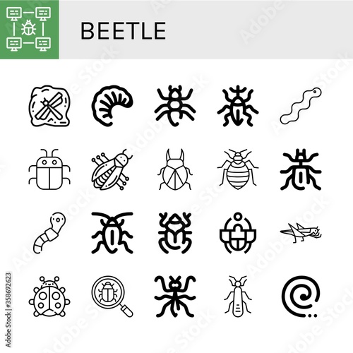 beetle icon set