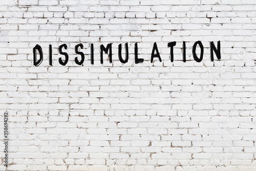 White wall with black paint inscription dissimulation on it