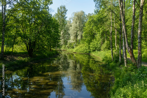 A hot summer day in the Nevsky Forest Park.