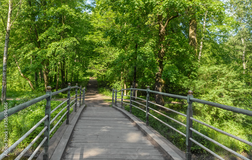 A hot summer day in the Nevsky Forest Park.