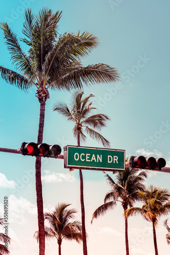 Canvastavla Ocean Drive sign with palm trees in background, Miami Beach