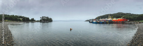 Panorama of a wet street golden retriever dog in the sea under the rain at the Patagonia (in Puerto Toro)