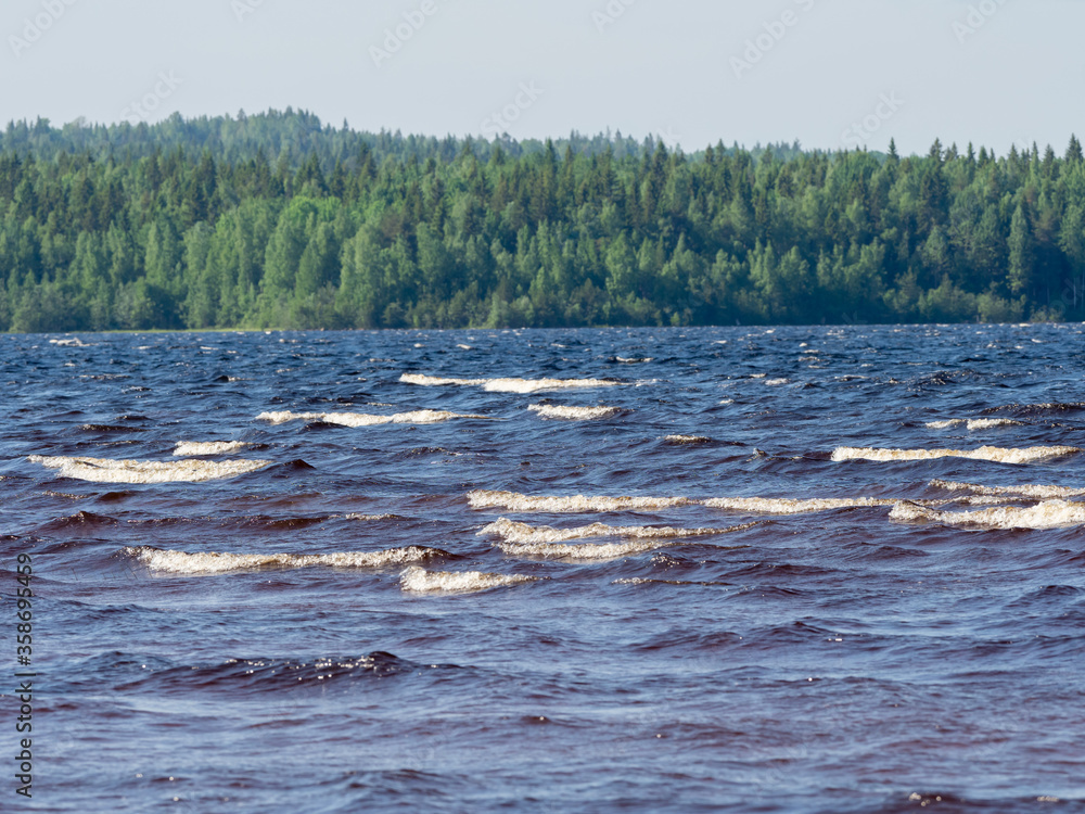 Obraz premium Waves with white foam on a lake with shallow depth in a sunny, windy day in Karelia, northwest of Russia