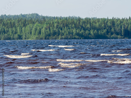 Waves with white foam on a lake with shallow depth in a sunny  windy day in Karelia  northwest of Russia