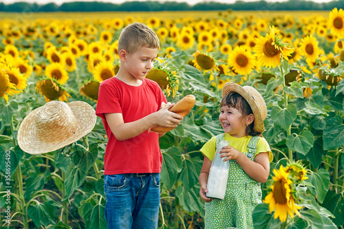 Children on a picnic in a field with sunflowers . Brother and sister on a country walk