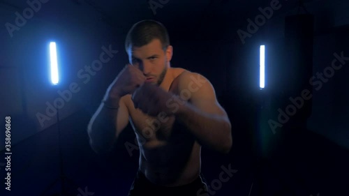 boxer on a dark background with a blue backlight