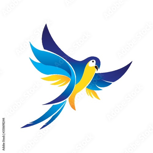blue macaw
