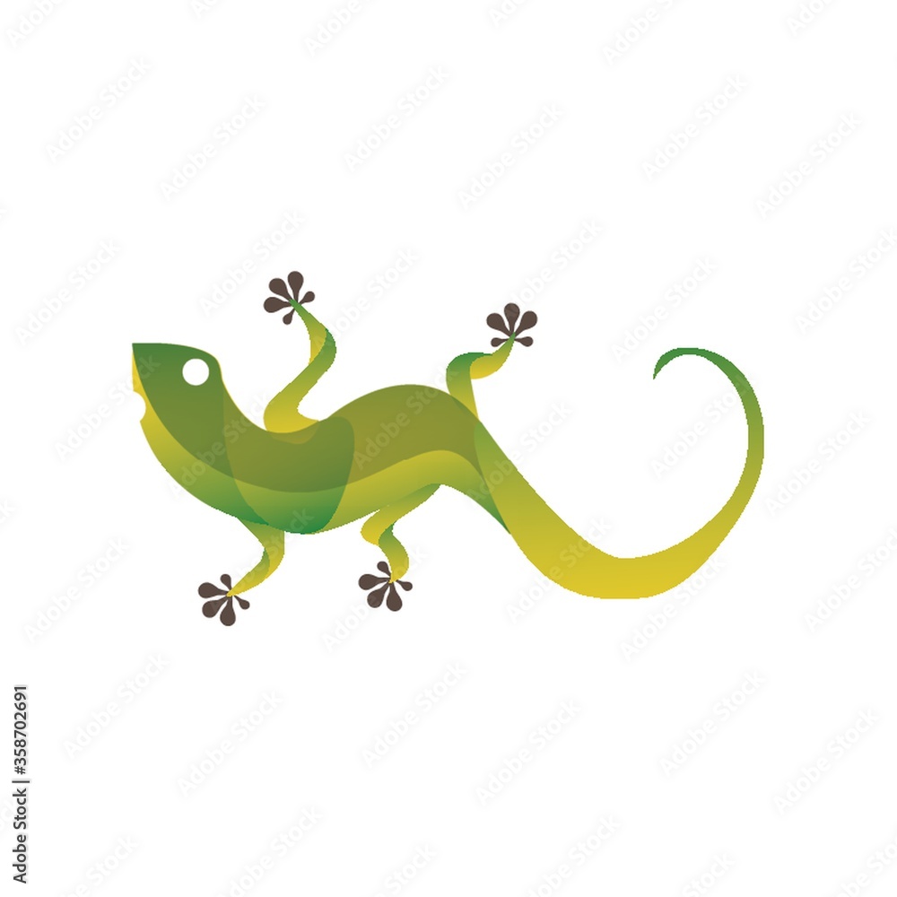 Obraz premium lizard