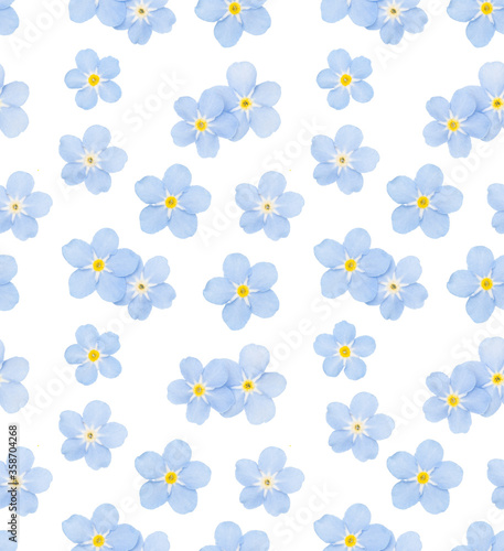 small blue flower on a white background. seamless pattern