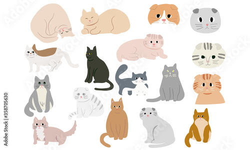 Funny and cute cartoon Cat different breeds vector illustration set