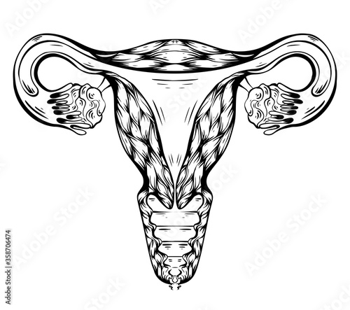 Contour anatomical sketch of the uterus. Healthy female body. Woman power. Uterus with tube and ovaries. Vector illustration for articles, banners, cards and your design.
