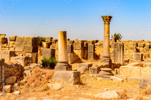 It's Excavations of Volubilis, an excavated Berber and Roman city in Morocco, ancient capital of the kingdom of Mauretania. UNESCO World Heritage