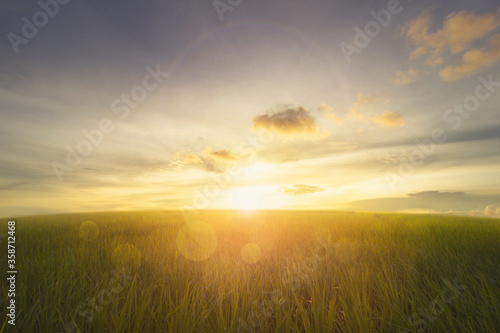 empty grassland and sunrise