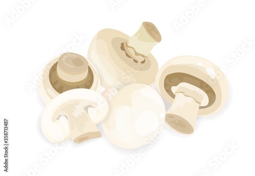 Appetizing fresh mushrooms composition vector illustration. Heap of raw organic fungus with legs and caps isolated on white background. Tasty vegan champignon cut on slice and whole photo