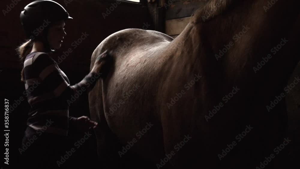 Teenage girl brushing a horse. Teenage girl brushing a horse.
