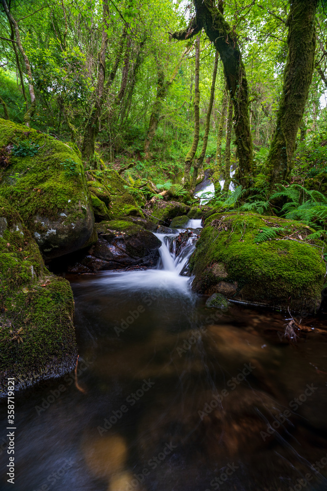 small waterfall in a forest with silky water small waterfall in a forest with silky water