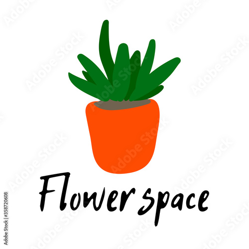 flower potted color logo. House plant in pot flat line icon  banner. Vector thin sign of plants growth, flower store logo. Gardening illustration.haworthia succulent logo  logotype web flower