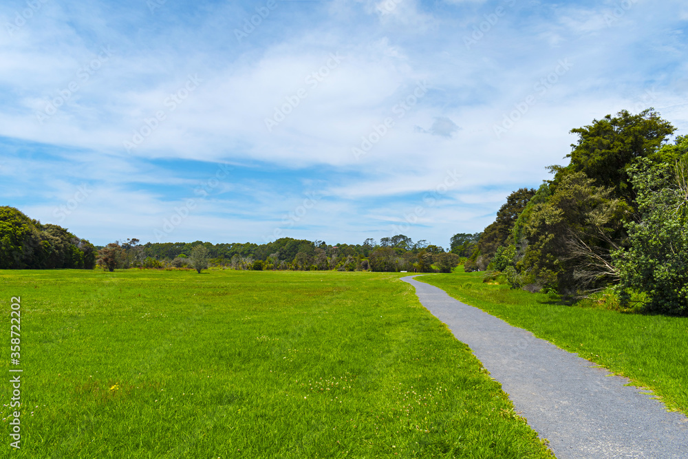 Panoramic View of Waiatarua Reserve, Remuera - Auckland New Zealand; Pathways, Wetland Area Panoramic View of Waiatarua Reserve, Remuera - Auckland New Zealand; Pathways, Wetland Area