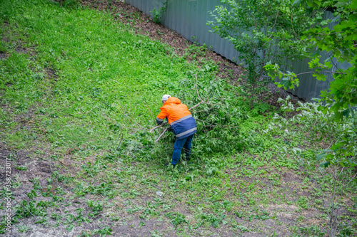 A man in uniform collects green branches of fallen trees in the yard