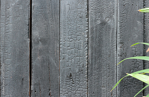 Blackish gray wooden background with green leaves photo