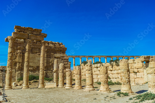 It's Roman ruins of Palmyra, Syria. UNESCO World Heritage