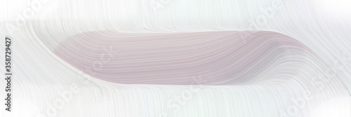 abstract dynamic header with lavender, silver and pastel gray colors. fluid curved flowing waves and curves for poster or canvas