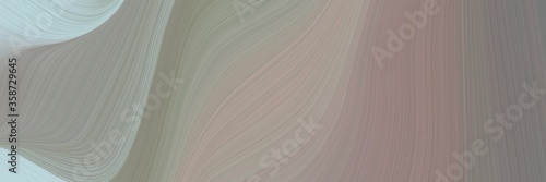 abstract dynamic horizontal banner with gray gray, pastel blue and dark gray colors. fluid curved lines with dynamic flowing waves and curves for poster or canvas