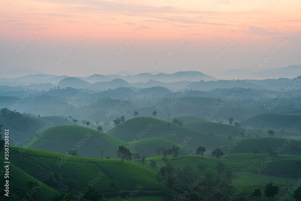 Long Coc tea hills at dawn in Phu Tho, Vietnam