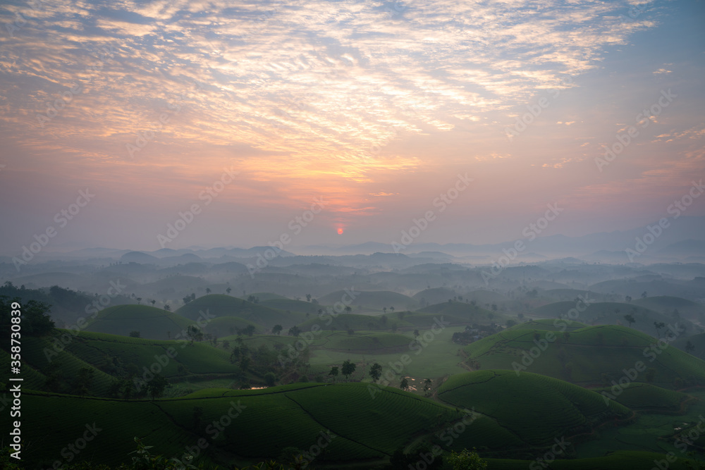 Long Coc tea hills at dawn in Phu Tho, Vietnam