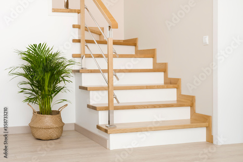 Fotografie, Obraz Modern natural ash tree wooden stairs in new house interior