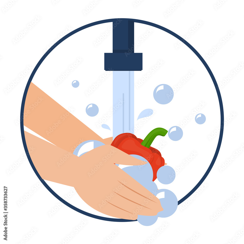 Hand washing bell pepper vector isolated. Wash fruits and vegetables before eating concept. Healthy lifestyle tips. Clean vegetable in water and soap. Hand washing bell pepper vector isolated. Wash fruits and vegetables before eating concept. Healthy lifestyle tips. Clean vegetable in water and soap.