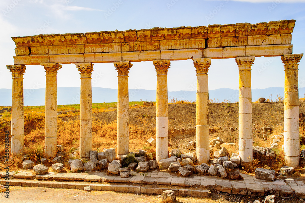 Fototapeta premium Ruins of Apamea, Syria