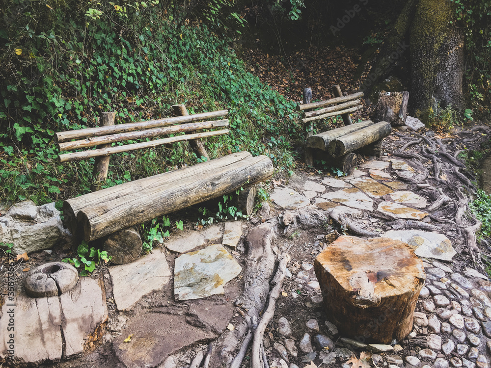 wooden bench in the park wooden bench in the park