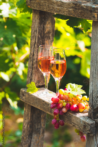Two glasses of rose wine with bottle outdoors in garden party in vineyard. Wine tasting with red grapes on wooden ladder, harvest time, copy space