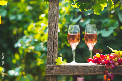 Two glasses of rose wine with bottle outdoors in garden party in vineyard. Wine tasting with red grapes on wooden ladder, harvest time, copy space