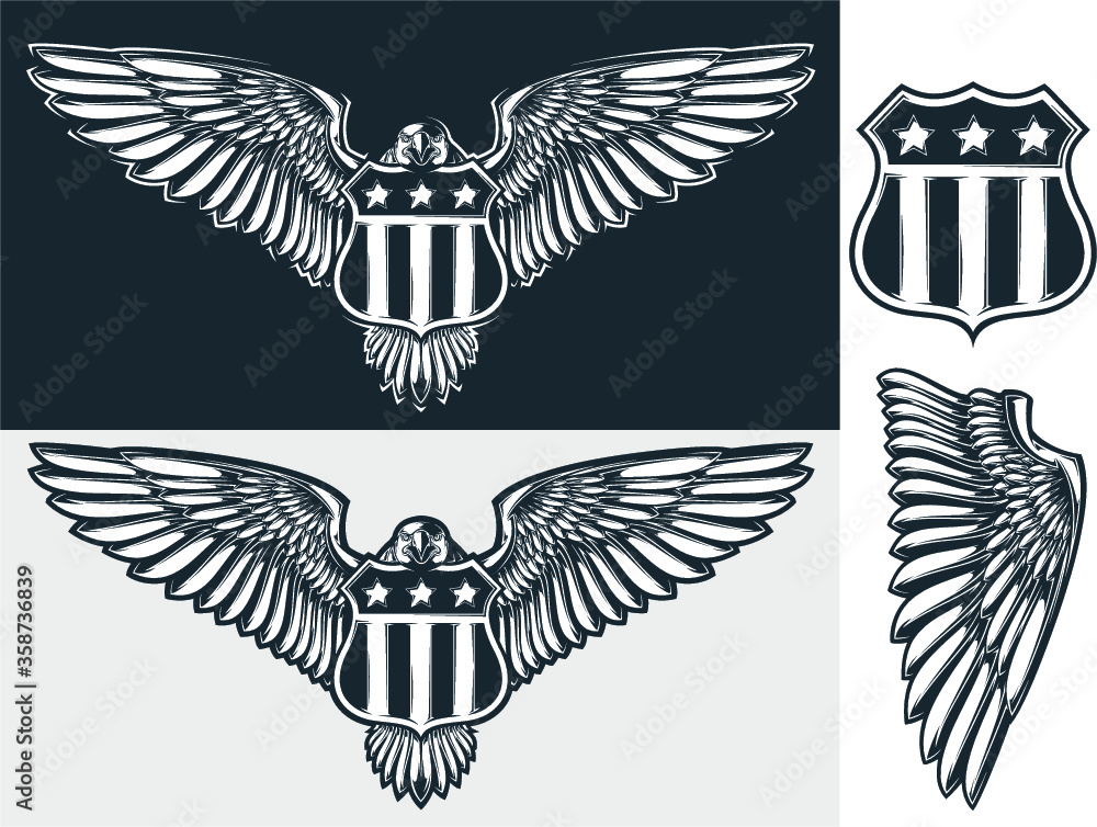 Fototapeta premium Vector eagle & shield