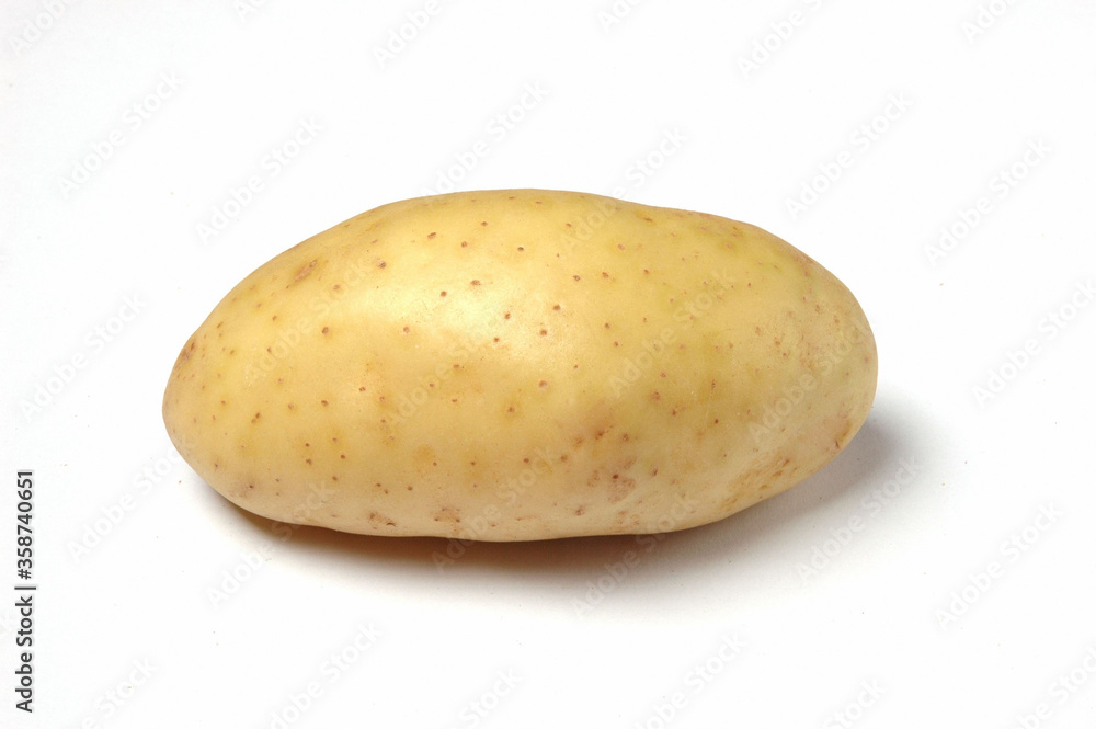 Potato, Close Up on white background . Potato, Close Up on white background .