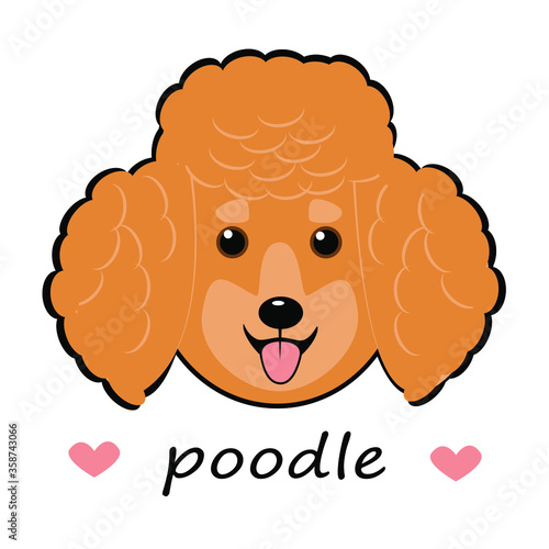 vector illustration of chibi cute funny face poodle dog