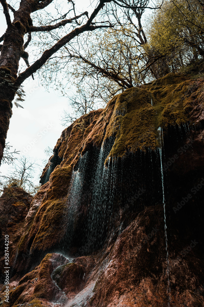 Fototapeta premium Nature-Germany-Bavaria