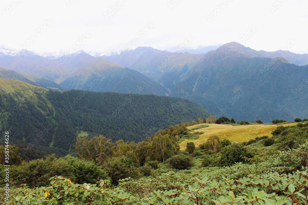 Fototapeta premium a green natural view of forest and mountains