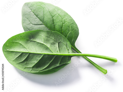 Fresh spinach leaves (Spinacia oleracea) isolated w clipping paths, top view