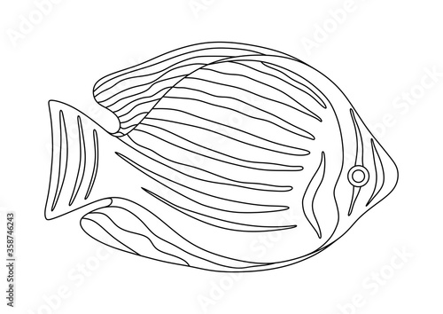 COLORING ISOLATED SEA FISH ON A WHITE BACKGROUND