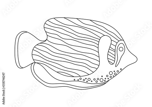 COLORING ISOLATED SEA FISH ON A WHITE BACKGROUND