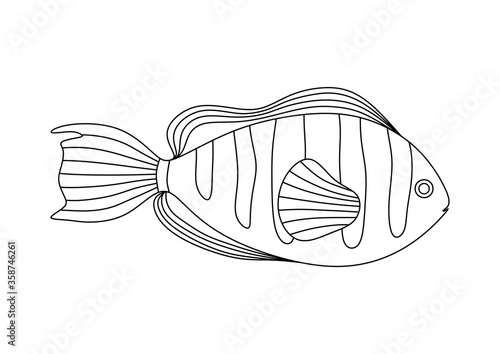 COLORING ISOLATED SEA FISH ON A WHITE BACKGROUND