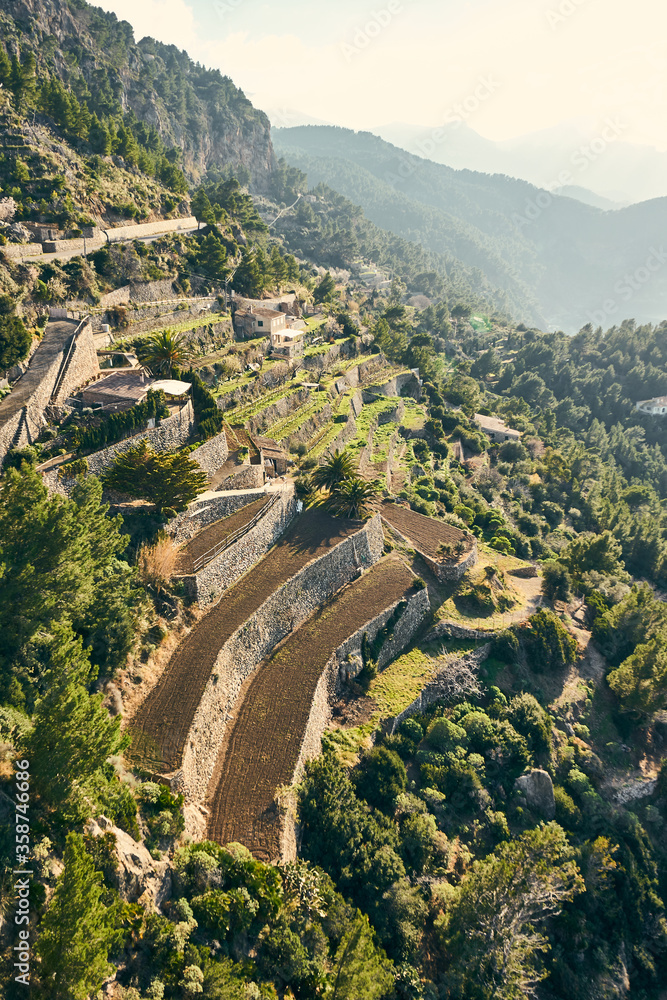 Fototapeta premium Terraced farms on the rocky cliff of northern Mallorca.