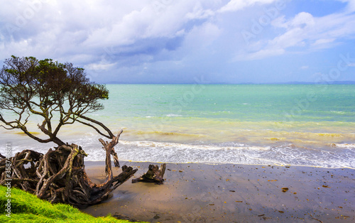 Panoramic View of Army Bay Whangaparaoa Peninsula Auckland New Zealand  During High Tide and Cloudy Period