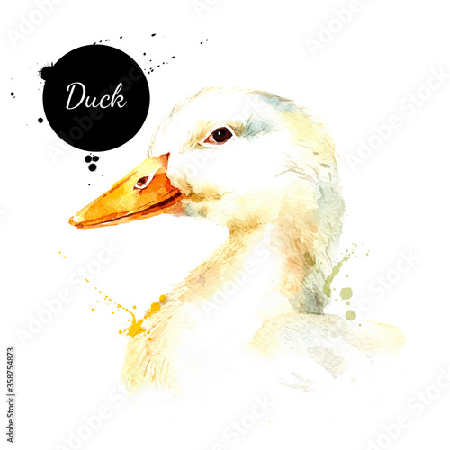 Watercolor hand drawn duck head illustration. Vector painted sketch isolated on white background