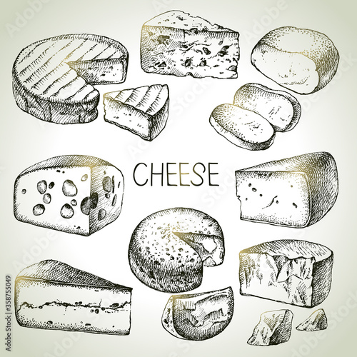 Hand drawn sketch cheese types set. Vector illustration of natural foods