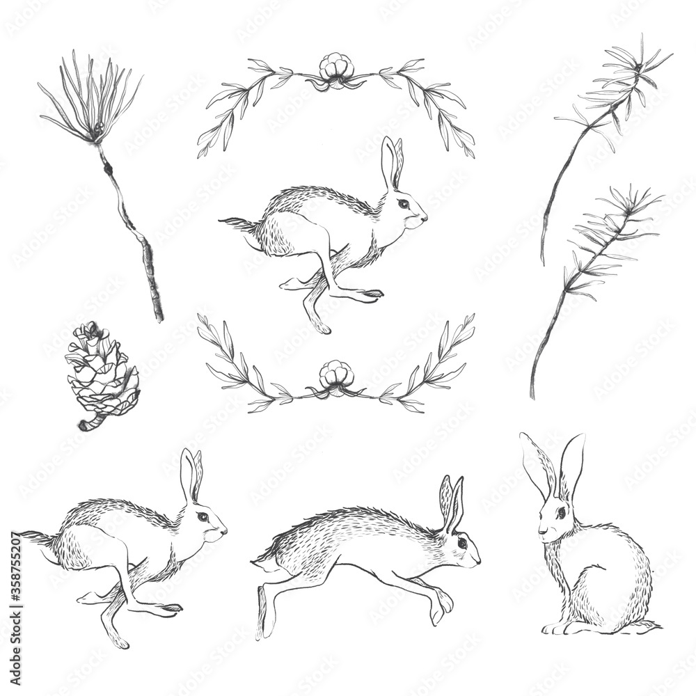 Graphic hare and herbs set.