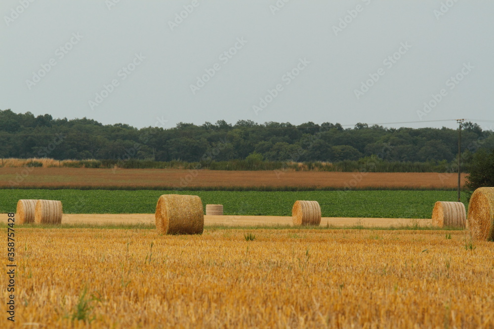 Deep view over a harvested field